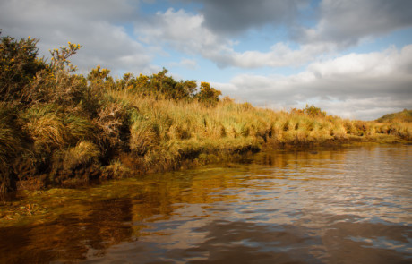 Ireland Killarney Lakes